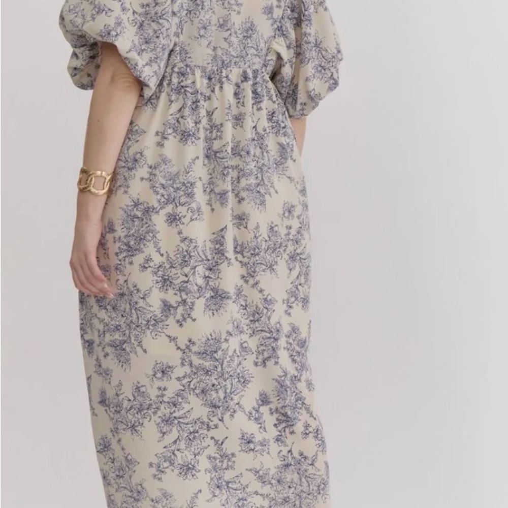 Entro Blue/Ivory Floral Toile Midi Dress, Size Medium - Picture 6 of 8
